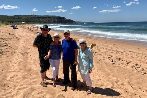 Shore Excursion: Sydney's Northern Beaches & Ku-ring-gai National Park Bus Tour - Accommodation Bookings 3