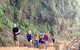 Blue Mountains Private Tour From Sydney, & Featherdale Aussie Animal Park Option - thumb 4