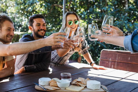 Full-day Wine-Tasting And Tamborine Mountain Tour With Lunch - Accommodation Bookings 0