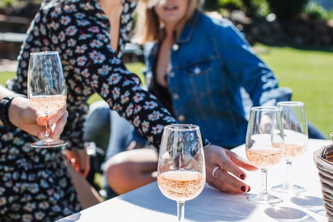 Full-day Wine-Tasting And Tamborine Mountain Tour With Lunch - Accommodation Bookings 1