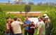 Yarra Valley Balloon Flight And Winery Tour - thumb 4