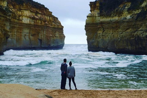 Great Ocean Road Small-Group Ecotour From Melbourne - Accommodation Bookings 1