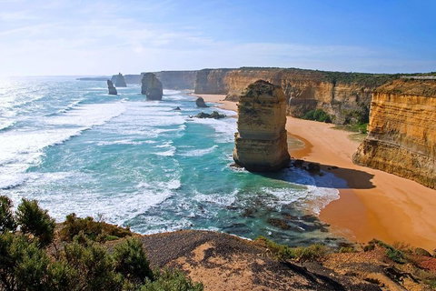 Great Ocean Road Small-Group Ecotour From Melbourne - Accommodation Bookings 2