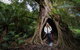 Great Ocean Road Small-Group Ecotour From Melbourne - thumb 4
