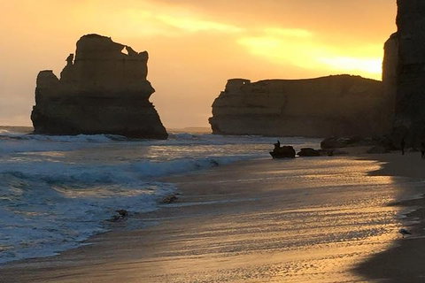 Great Ocean Road Small-Group Ecotour From Melbourne - Accommodation Bookings 5