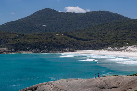 Wilson's Promontory Small Group Eco Tour From Melbourne - Accommodation Bookings 0