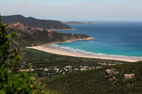 Wilson's Promontory Small Group Eco Tour From Melbourne - Accommodation Bookings 4