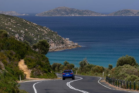 Wilson's Promontory Small Group Eco Tour From Melbourne - Accommodation Bookings 5