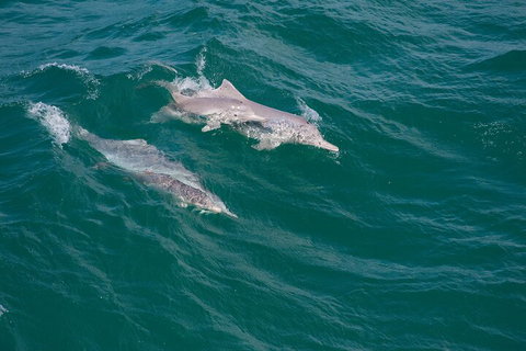 North Stradbroke Island Private Tour With Pickup - Accommodation Bookings 0