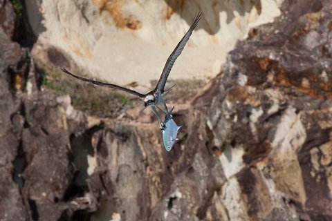 North Stradbroke Island Private Tour With Pickup - Accommodation Bookings 2