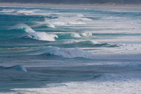 North Stradbroke Island Private Tour With Pickup - Accommodation Bookings 3