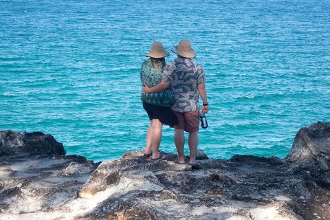 North Stradbroke Island Private Tour With Pickup - Accommodation Bookings 4