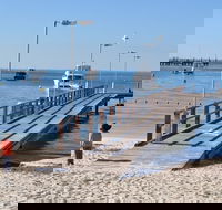Monkey Mia Dolphins  Shark Bay Air Tour From Perth - Accommodation Bookings