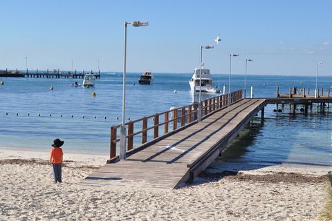 Monkey Mia Dolphins & Shark Bay Air Tour From Perth - Accommodation Bookings 0