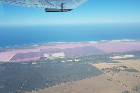 Monkey Mia Dolphins & Shark Bay Air Tour From Perth - Accommodation Bookings 5