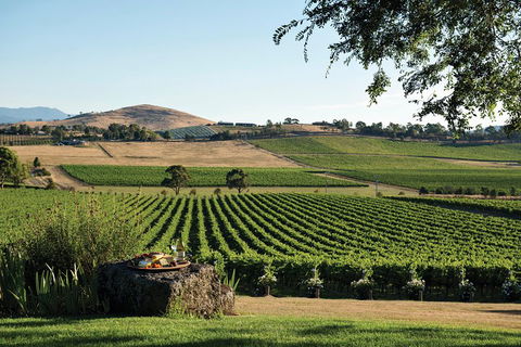 Small Group 6 Guests: Ultimate Yarra Valley Food And Wine - Mercedes Van - Accommodation Bookings 4