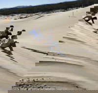 Port Stephens Bush Beach and Sand Dune 4WD Tag-Along Tour - Accommodation Bookings