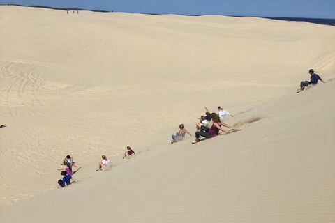 Port Stephens Bush, Beach And Sand Dune 4WD Passenger Tour - Accommodation Bookings 4
