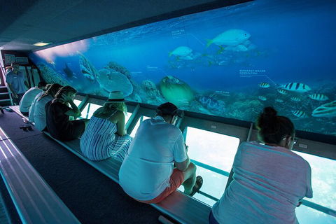 Great Barrier Reef Day Cruise To Reefworld - Accommodation Bookings 0