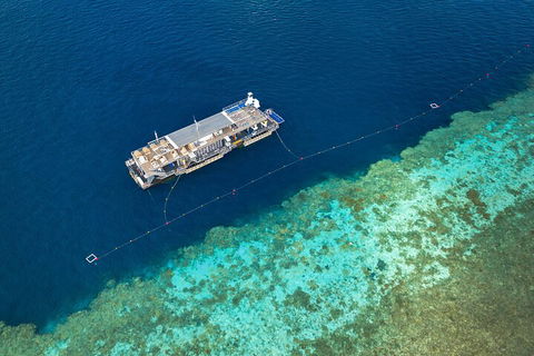 Great Barrier Reef Day Cruise To Reefworld - Accommodation Bookings 2