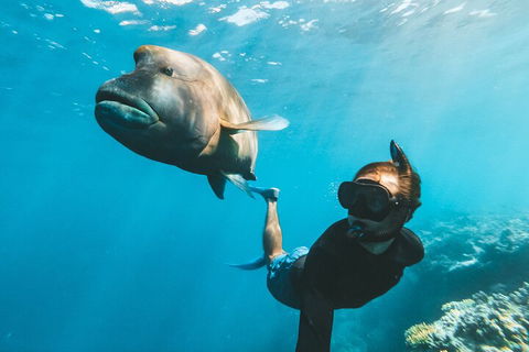 Great Barrier Reef Day Cruise To Reefworld - Accommodation Bookings 3