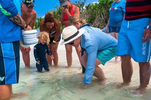 Whitehaven Beach And Hamilton Island Cruise - Accommodation Bookings 1