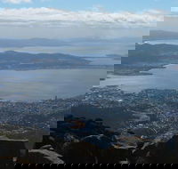 Mt Wellington Tour and MONA Admission - Accommodation Bookings