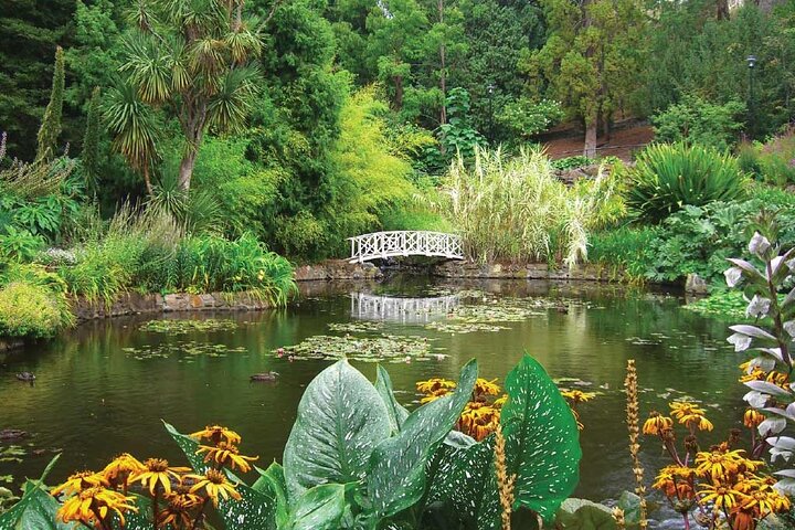  Accommodation Bookings