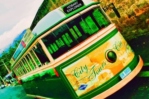 Hobart Half-Day Sightseeing Coach Tram Tour - Accommodation Bookings 5