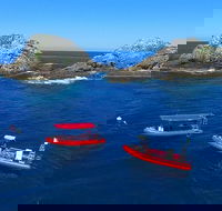 3-Hour Byron Bay Certified Scuba Diving Tour - Accommodation Bookings