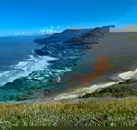 South Coast Private Charter - Accommodation Bookings