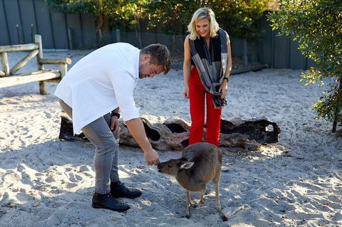 Albany's Whale Story - Accommodation Bookings 1