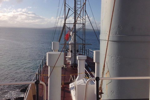 Albany's Whale Story - Accommodation Bookings 2