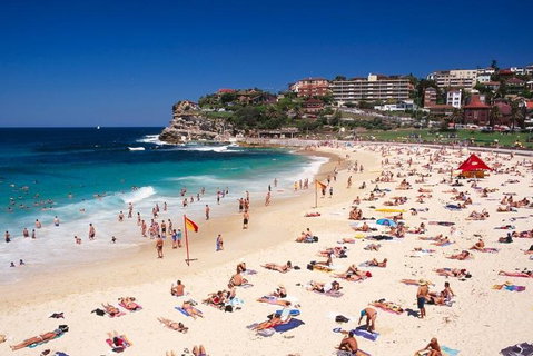 Sydney Private Day Tours | Main Attractions And Highlights | 6 Hour Private Tour - Accommodation Bookings 2