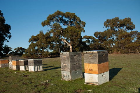 Fine Flavours - Full Day Kangaroo Island Food & Wine Tour - Accommodation Bookings 1