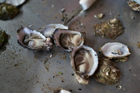 Fine Flavours - Full Day Kangaroo Island Food & Wine Tour - Accommodation Bookings 2