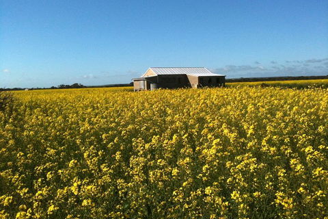 Fine Flavours - Full Day Kangaroo Island Food & Wine Tour - Accommodation Bookings 3