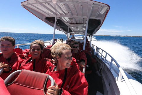 Adventure Rottnest Tour With Ferry & Adventure Cruise From Perth Or Fremantle - Accommodation Bookings 0