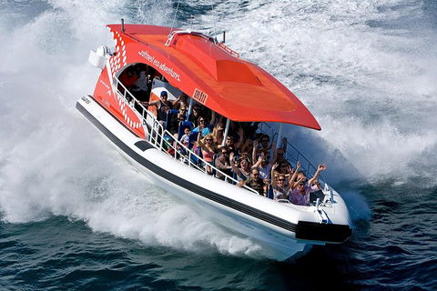 Adventure Rottnest Tour With Ferry & Adventure Cruise From Perth Or Fremantle - Accommodation Bookings 2