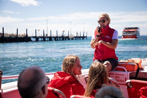 Adventure Rottnest Tour With Ferry & Adventure Cruise From Perth Or Fremantle - Accommodation Bookings 4