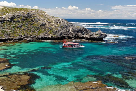 Adventure Rottnest Tour With Ferry & Adventure Cruise From Perth Or Fremantle - Accommodation Bookings 5