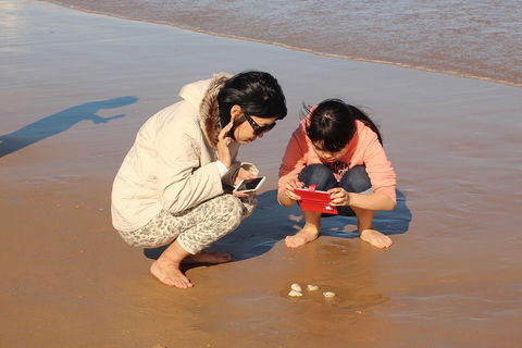 Beach & Dune - Accommodation Bookings 2