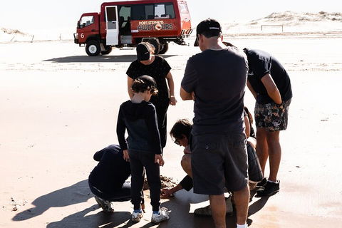Beach & Dune - Accommodation Bookings 3
