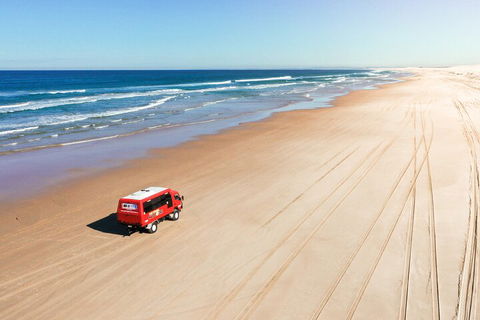 Beach & Dune - Accommodation Bookings 4
