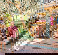 Full Day Sunshine Coast Hinterland Luxury Small Group Tour from Brisbane - Accommodation Bookings