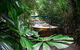 Kuranda Rainforestation & Kuranda Scenic Rail - thumb 0