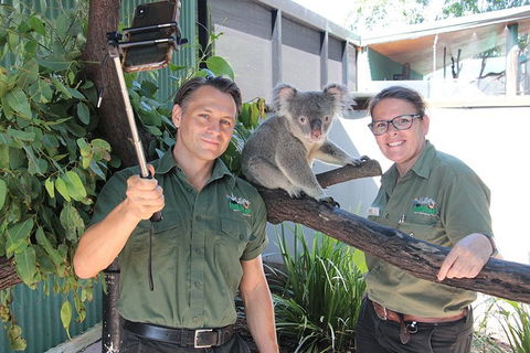 Virtual Interactive Australian Wildlife Tour With Private Guide-Wildlife Habitat - Accommodation Bookings 0
