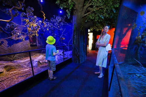Wildlife Habitat Port Douglas - Accommodation Bookings 4