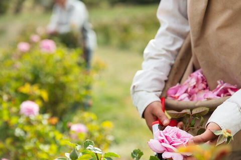 3 Days Adelaide Hills Wellness Escape - Accommodation Bookings 3