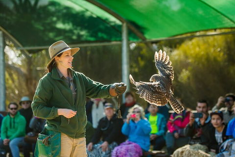Full Day Kangaroo Island Sip And See Tour Departing From Kangaroo Island - Accommodation Bookings 1